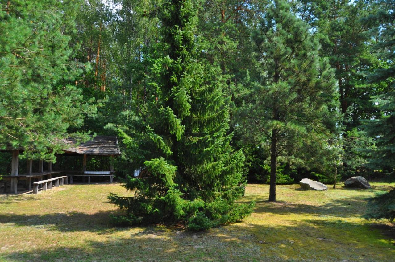 Agroturystyka "Lesne Zacisze Na Podlasiu" Tuczna Eksteriør bilde