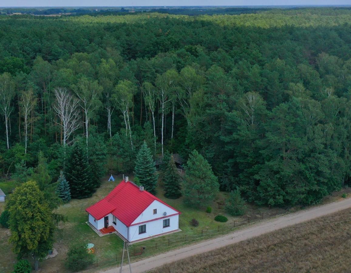 Agroturystyka "Lesne Zacisze Na Podlasiu" Tuczna Eksteriør bilde